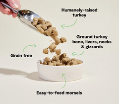 Homestead Turkey Freeze Dried Raw Morsels for Dogs