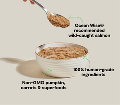 Wild-Caught Salmon Rustic Blend Wet Cat Food