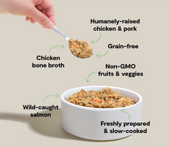 Puppy Grain-Free Freshly Crafted Dog Food