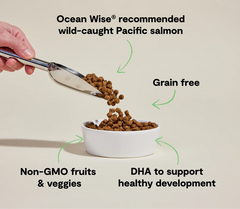 Salmon Grain-Free Puppy Kibble