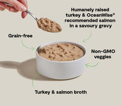 Turkey & Salmon Morsels in Gravy for Cats