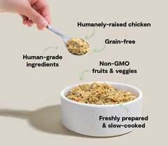 Harvest Chicken Grain-Free Freshly Crafted Dog Food
