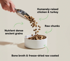 RawMix Open Prairie Ancient Grains Dog Kibble