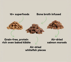 Epic Blend Salmon & Superfood Grain-Free Dog Kibble