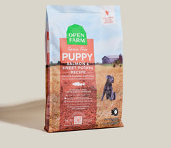 Salmon Grain-Free Puppy Kibble