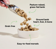 Pasture-Raised Lamb Freeze Dried Raw Morsels for Dogs