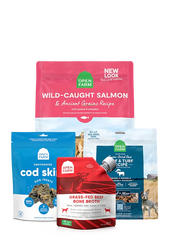 Best Sellers Dog Bundle