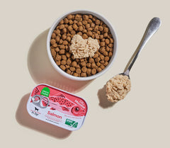 Salmon Topper for Dogs