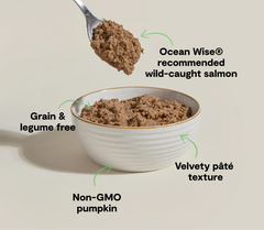 Wild-Caught Salmon Pâté for Cats