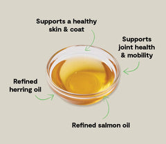 Icelandic Herring & Salmon Oil For Dogs