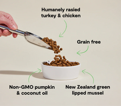 Senior Grain-Free Dog Kibble