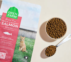 Wild-Caught Salmon Grain-Free Cat Kibble