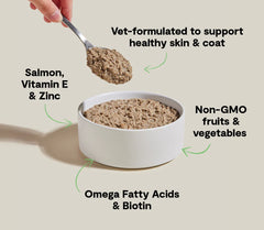 Wild-Caught Salmon Skin & Coat Health Pâté for Cats