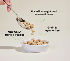 Wild-Caught Salmon & Cod Freeze Dried Raw Morsels for Cats