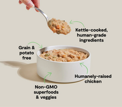 Harvest Chicken Rustic Stew Wet Dog Food