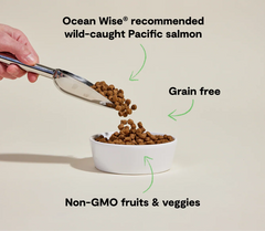 Wild-Caught Salmon Grain-Free Dog Kibble