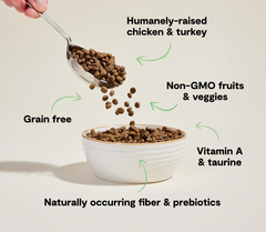Chicken & Turkey Grain-Free Kitten Kibble