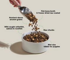 RawMix Ancient Grains Puppy Kibble
