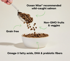 Wild-Caught Salmon Grain-Free Cat Kibble