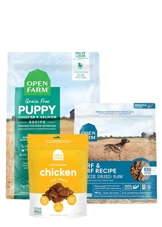 New Puppy Pack