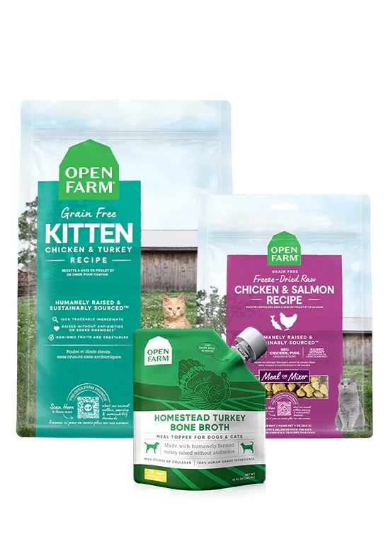 New Kitten Pack