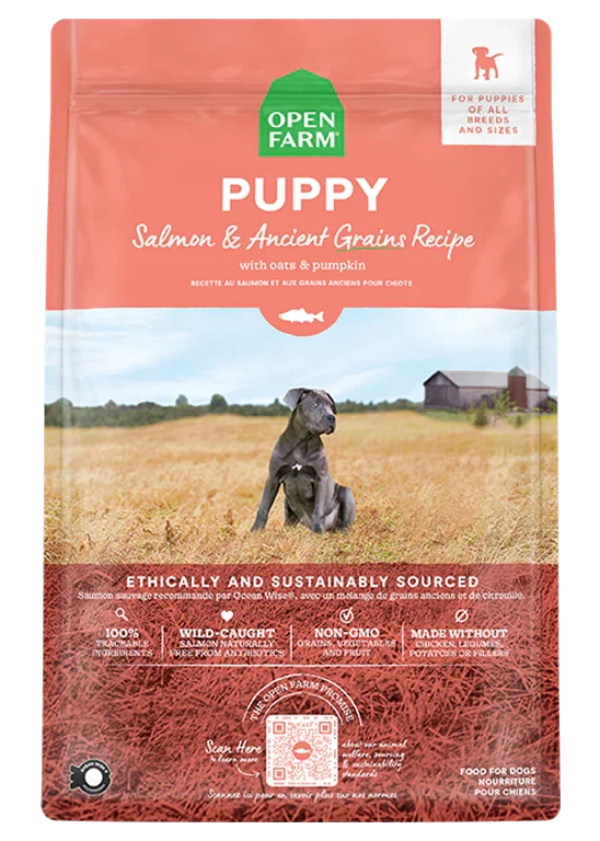 Salmon & Ancient Grains Puppy Kibble