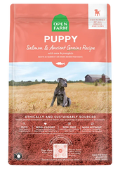 Salmon & Ancient Grains Puppy Kibble