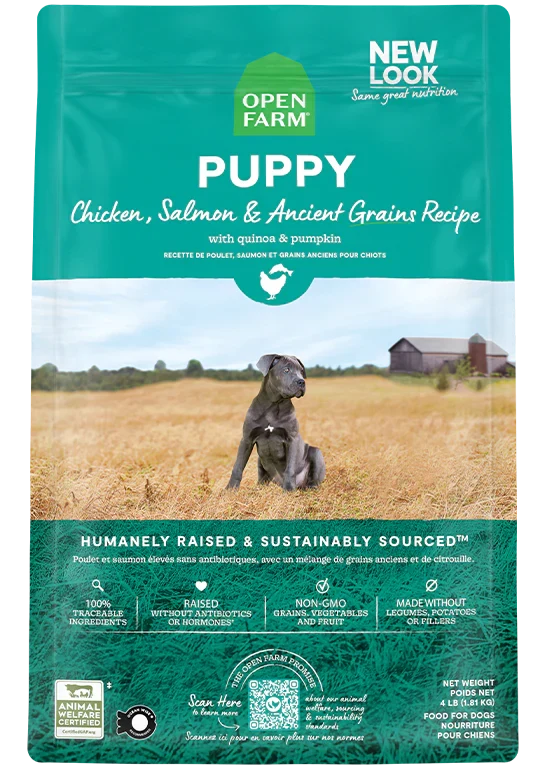 Chicken & Salmon Ancient Grains Puppy Kibble