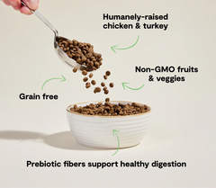 Homestead Turkey & Chicken Grain-Free Cat Kibble