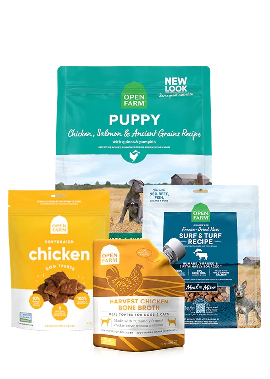 Ancient Grains Puppy Pack