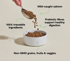 Goodbowl™ Wild-Caught Salmon & Brown Rice Cat Kibble