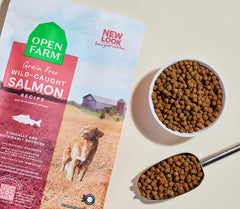 Wild-Caught Salmon Grain-Free Dog Kibble