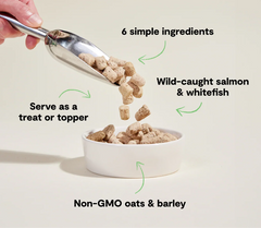 Goodbowl™ Wild-Caught Salmon Freeze Dried Raw Morsels for Dogs
