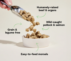 RawMix Tide & Terrain Freeze Dried Raw Morsels for Dogs
