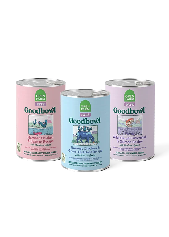 Goodbowl Variety Pack for Dogs