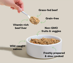 Surf & Turf Grain-Free Freshly Crafted Dog Food