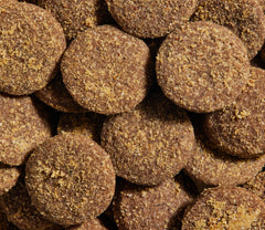 Better Biscuits Turkey & Oatmeal Treats