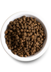 Best Sellers Dog Bundle
