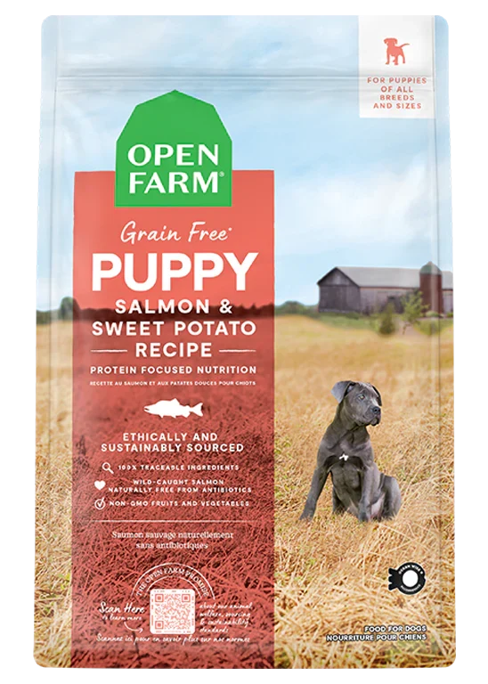 Salmon Grain-Free Puppy Kibble