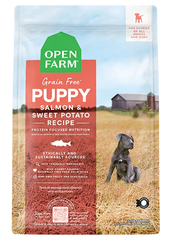 Salmon Grain-Free Puppy Kibble