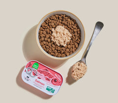 Salmon Topper for Cats