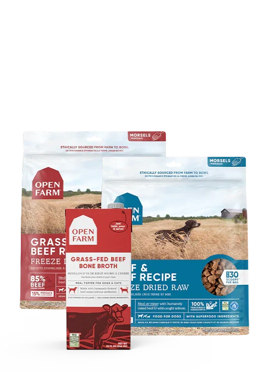 Picky Pets Bundle