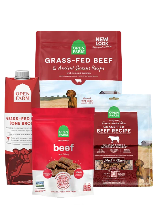 Grass-Fed Goodness Bundle