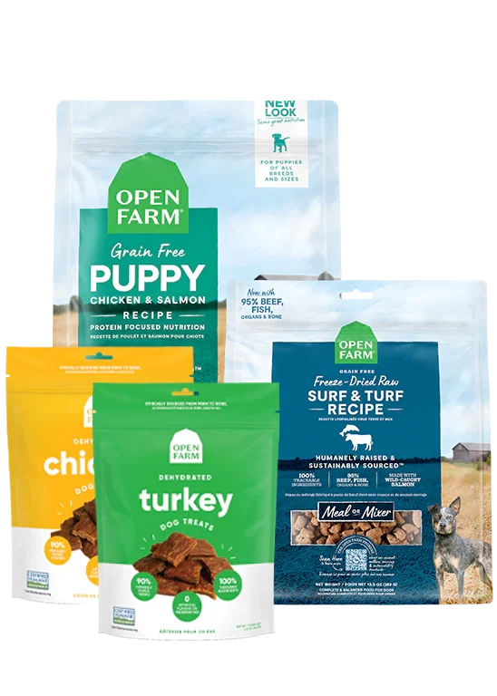 Puppy Essentials Pack