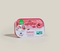 Salmon Topper for Cats