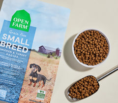 Small Breed Grain-Free Dog Kibble