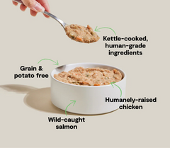 Chicken & Salmon Rustic Stew Wet Dog Food